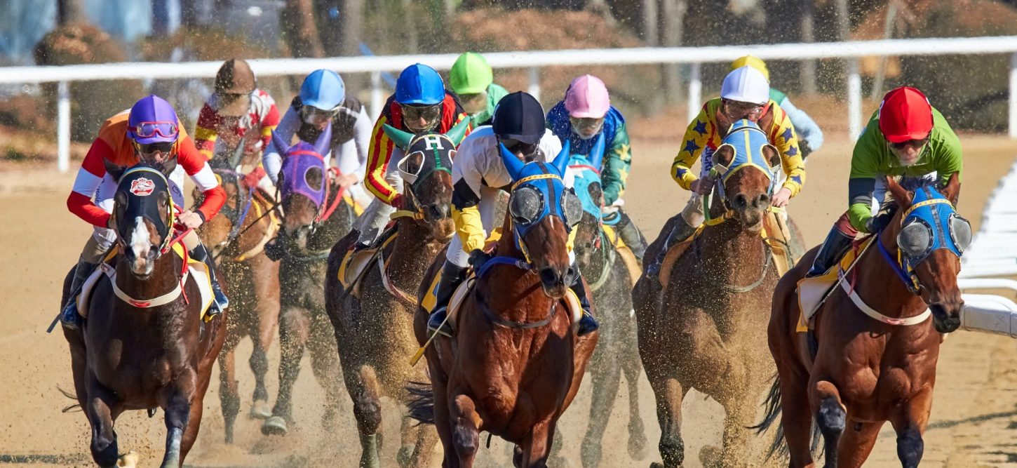 4. Del Mar Race Track scaled e1778528311246