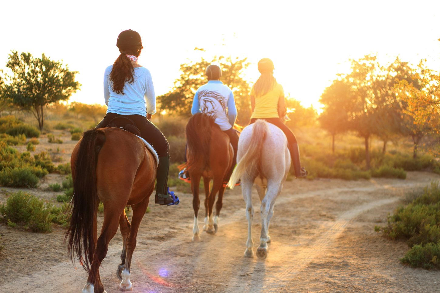 Three friends riding horses at sunset