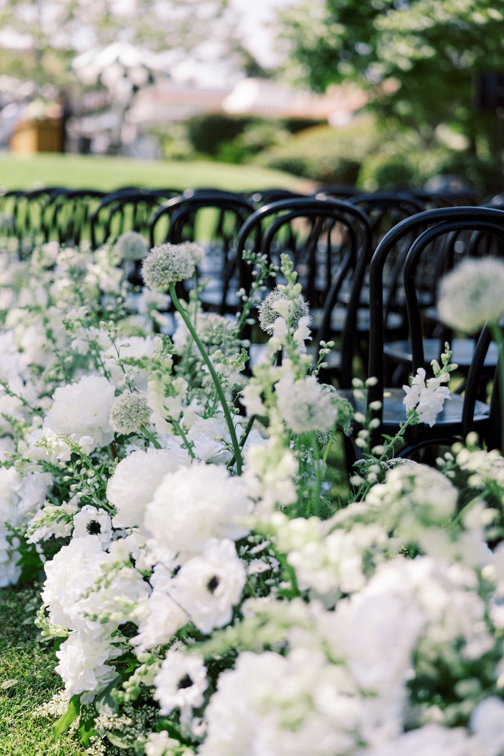 Ceremony 11 e1745005597197