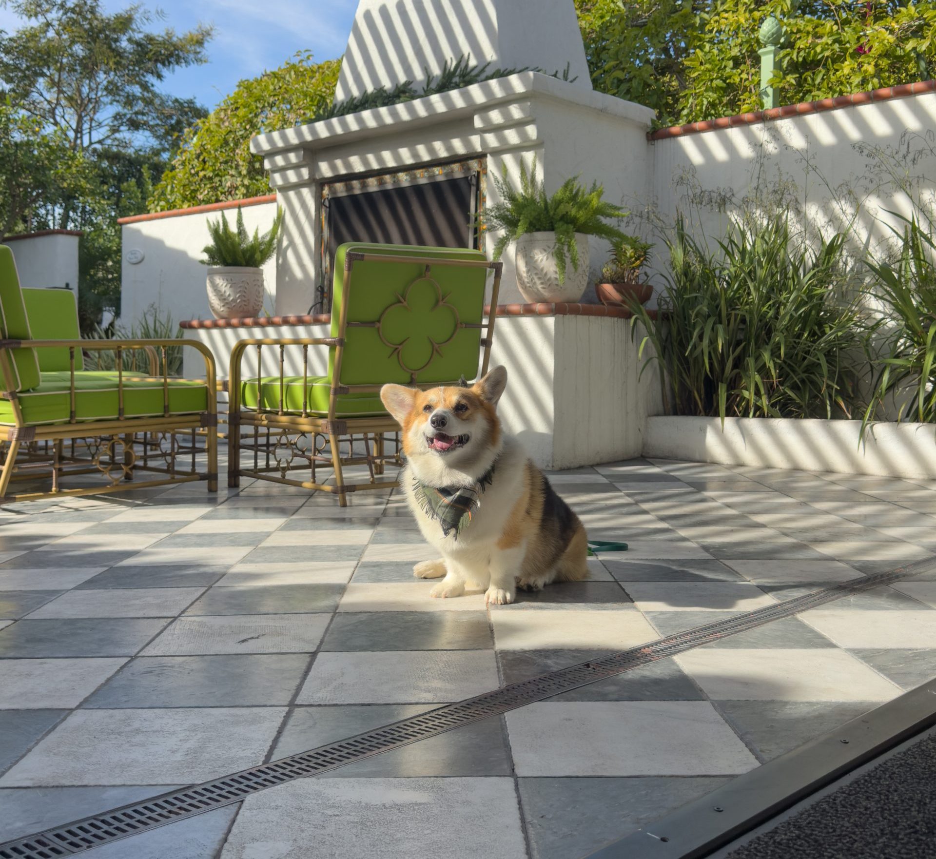 4E1F3D3E 38AD 4653 84C2 0BAC3084A663 scaled e1766449657944