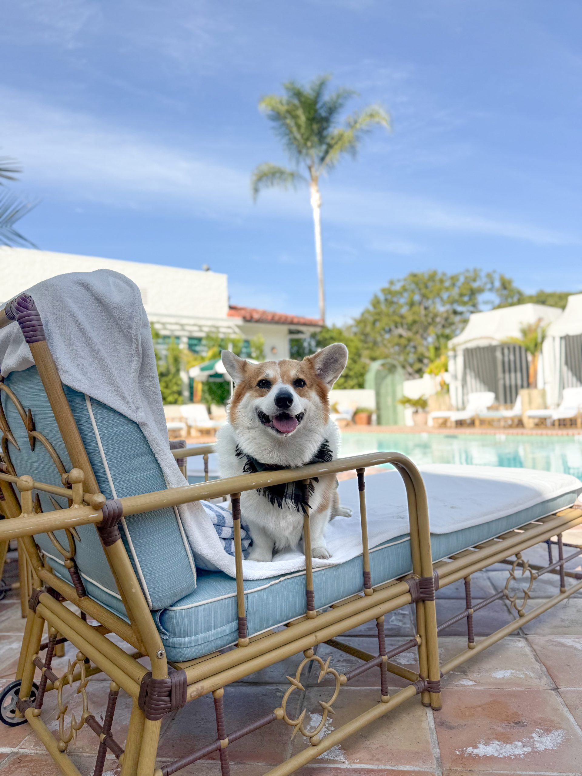 B882E8A0 8F26 4AB3 B040 1CE7E60F680A scaled