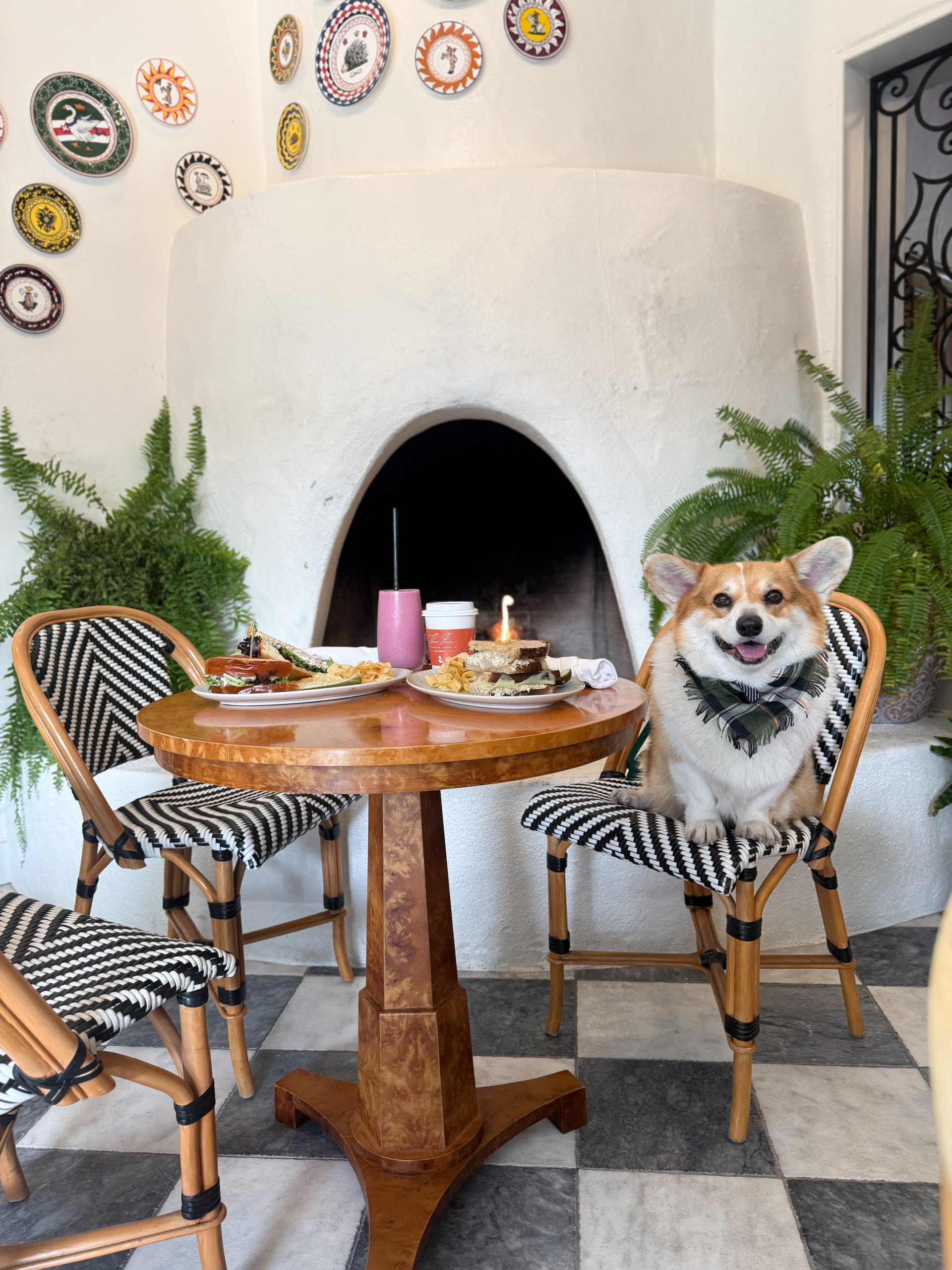 D9CC9DA8 63C9 4720 A79F 1844FA96603F scaled